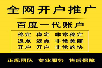 百度SEO推广公司经典之作：打造行业领先品牌